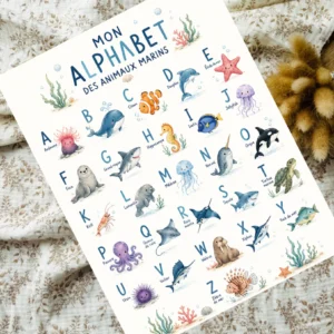 Affiche alphabet MARIN