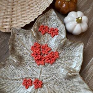 Feuille d’automne 🍁